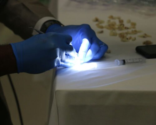 Endodontics-Hands-on-training-21